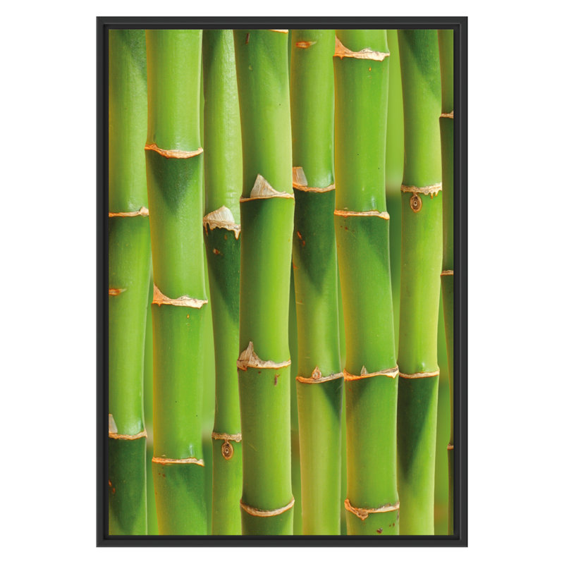 East Urban Home Fresh Green Bamboo Framed Graphic Art Print Wayfair.co.uk